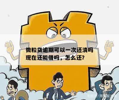 微粒贷逾期可以一次还清吗现在还能借吗，怎么还？