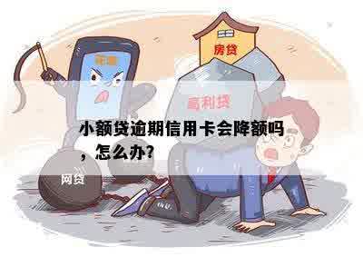 小额贷逾期信用卡会降额吗，怎么办？