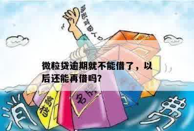 微粒贷逾期就不能借了，以后还能再借吗？