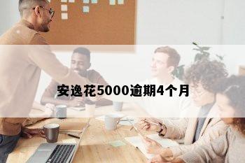 安逸花5000逾期4个月