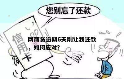 网商贷逾期6天刚让我还款，如何应对？