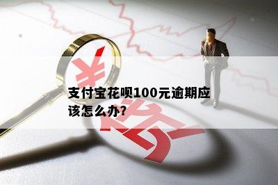 支付宝花呗100元逾期应该怎么办？