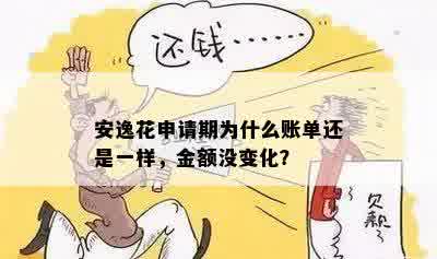 安逸花申请期为什么账单还是一样，金额没变化？