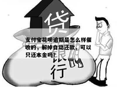 支付宝花呗逾期是怎么样催收的，解掉自动还款，可以只还本金吗？