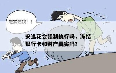 安逸花会强制执行吗，冻结银行卡和财产真实吗？