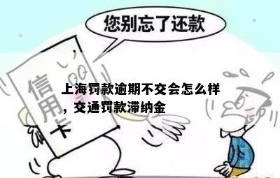 上海罚款逾期不交会怎么样，交通罚款滞纳金