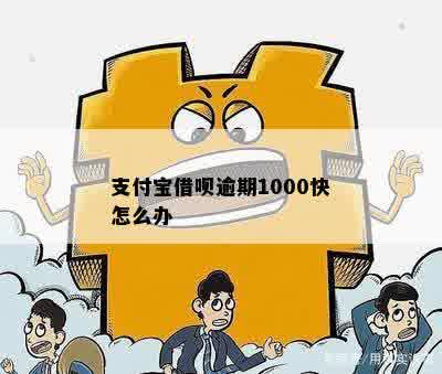 支付宝借呗逾期1000快怎么办