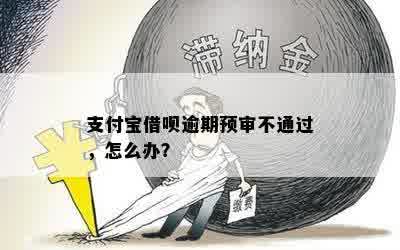 支付宝借呗逾期预审不通过，怎么办？