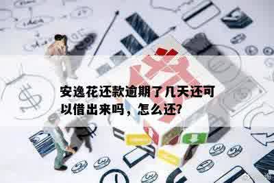 安逸花还款逾期了几天还可以借出来吗，怎么还？