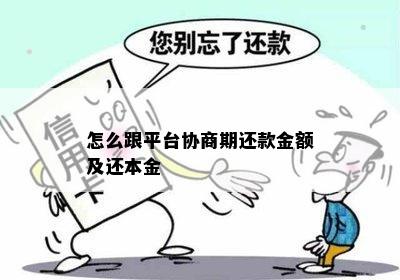 怎么跟平台协商期还款金额及还本金