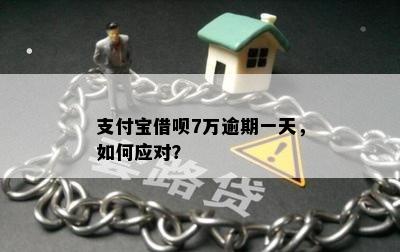 支付宝借呗7万逾期一天，如何应对？