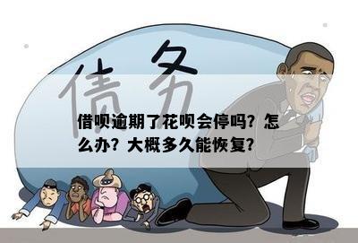 借呗逾期了花呗会停吗？怎么办？大概多久能恢复？