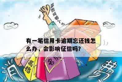 有一笔信用卡逾期忘还钱怎么办，会影响征信吗？