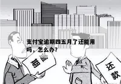 支付宝逾期四五月了还能用吗，怎么办？