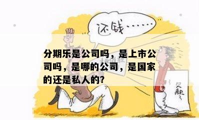 分期乐是公司吗，是上市公司吗，是哪的公司，是国家的还是私人的？