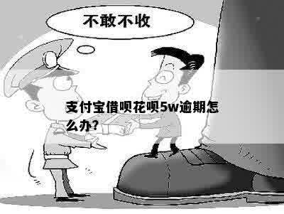 支付宝借呗花呗5w逾期怎么办？