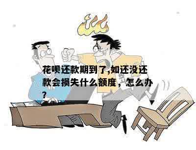 花呗还款期到了,如还没还款会损失什么额度，怎么办？