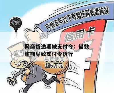 网商贷逾期被支付令：借款逾期导致支付令执行