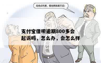 支付宝借呗逾期800多会起诉吗，怎么办，会怎么样