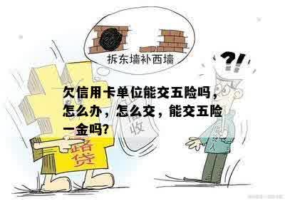 欠信用卡单位能交五险吗，怎么办，怎么交，能交五险一金吗？