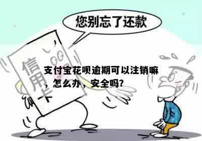 支付宝花呗逾期可以注销嘛，怎么办，安全吗？