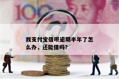 我支付宝借呗逾期半年了怎么办，还能借吗？