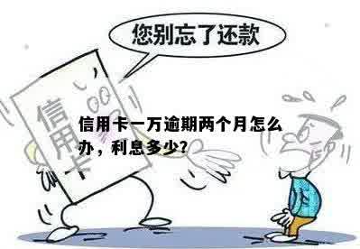 信用卡一万逾期两个月怎么办，利息多少？