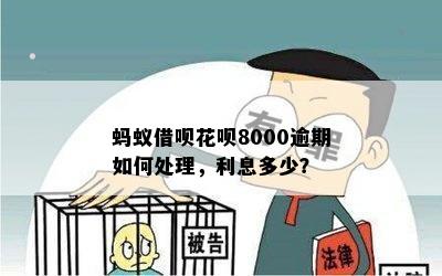 蚂蚁借呗花呗8000逾期如何处理，利息多少？