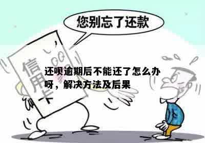 还呗逾期后不能还了怎么办呀，解决方法及后果