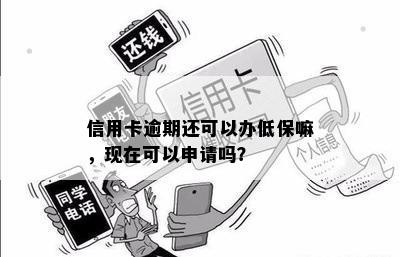 信用卡逾期还可以办低保嘛，现在可以申请吗？