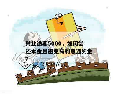 兴业逾期5000，如何尝还本金且避免高利息违约金？