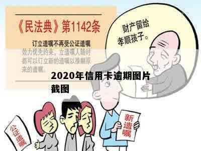 2020年信用卡逾期图片截图