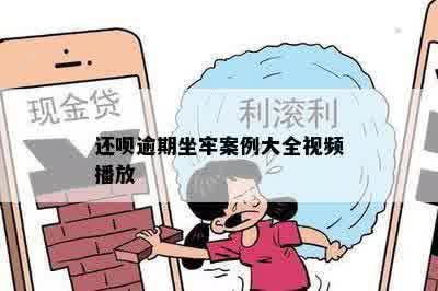 还呗逾期坐牢案例大全视频播放