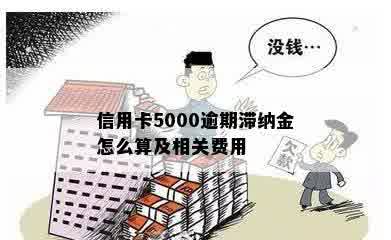 信用卡5000逾期滞纳金怎么算及相关费用