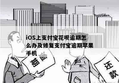 iOS上支付宝花呗逾期怎么办及修复支付宝逾期苹果手机