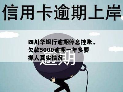 四川华银行逾期停息挂账，欠款5000逾期一年多要抓人真实情况