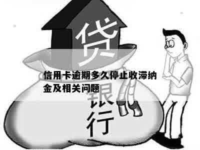 信用卡逾期多久停止收滞纳金及相关问题