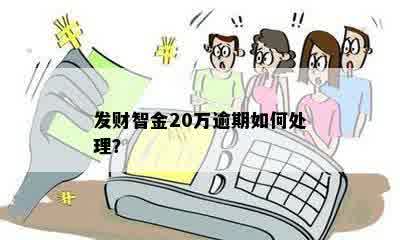 发财智金20万逾期如何处理？