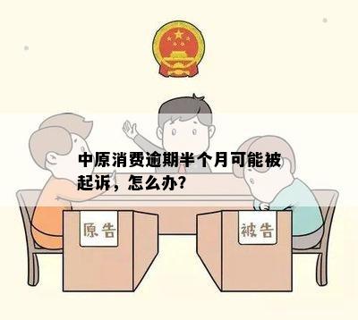 中原消费逾期半个月可能被起诉，怎么办？