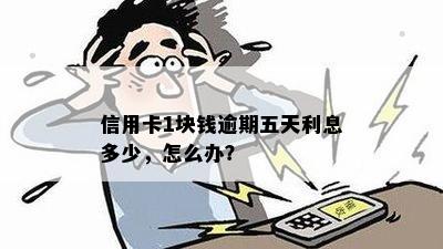 信用卡1块钱逾期五天利息多少，怎么办？