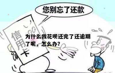 为什么我花呗还完了还逾期了呢，怎么办？