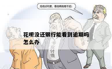 花呗没还银行能看到逾期吗怎么办