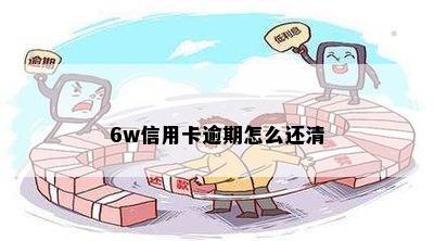 6w信用卡逾期怎么还清