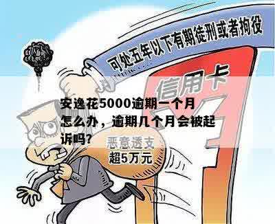 安逸花5000逾期一个月怎么办，逾期几个月会被起诉吗？