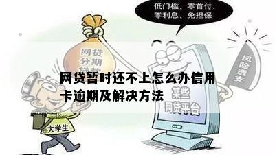 网贷暂时还不上怎么办信用卡逾期及解决方法