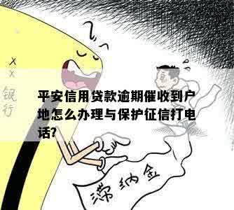 平安信用贷款逾期催收到户地怎么办理与保护征信打电话？