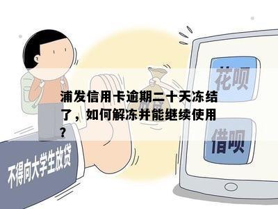 浦发信用卡逾期二十天冻结了，如何解冻并能继续使用？