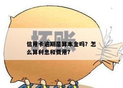 信用卡逾期是算本金吗？怎么算利息和费用？