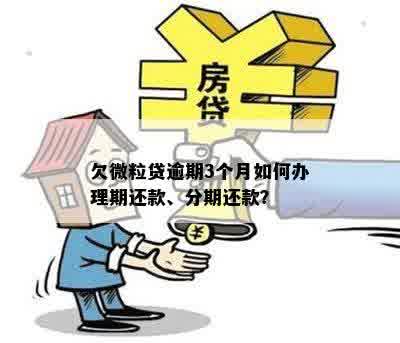 欠微粒贷逾期3个月如何办理期还款、分期还款？