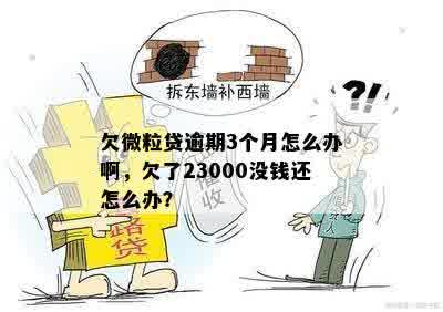 欠微粒贷逾期3个月怎么办啊，欠了23000没钱还怎么办？